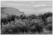 Lower House and cliff. Yucca House National Monument, Colorado, USA ( black and white)