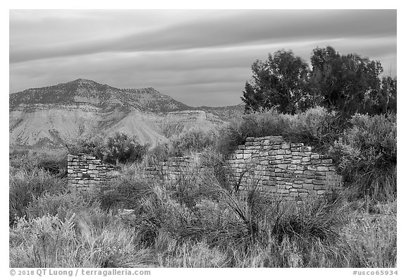 Lower House wall with Mesa Verde in background. Yucca House National Monument, Colorado, USA (black and white)