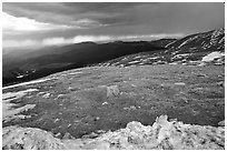 Snow and tundra on Mt Evans. Colorado, USA ( black and white)