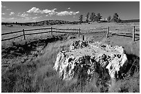 Petrified stump, Florissant Fossil Beds National Monument. Colorado, USA ( black and white)