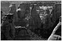 Spires. Colorado National Monument, Colorado, USA ( black and white)