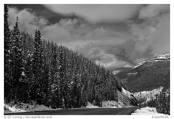 Highway near the Continental Divide at Monarch Pass. Colorado, USA