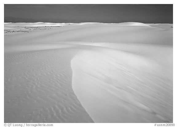 White sand dunes, White Sands National Monument. New Mexico, USA (black and white)