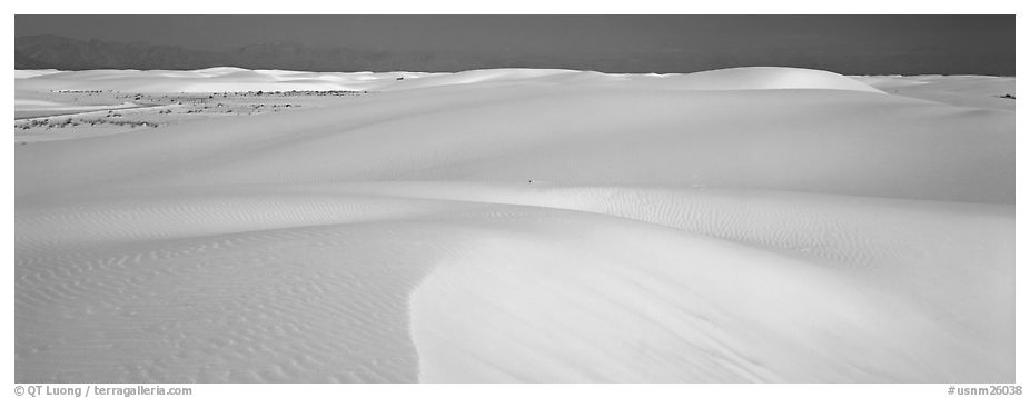 White sand dunes landscape. New Mexico, USA (black and white)