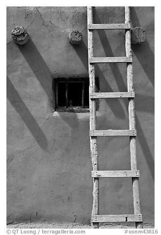 Ladder, Vigas, and blue window. Taos, New Mexico, USA (black and white)