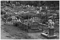 Tombs seen from the back, cemetery. Taos, New Mexico, USA ( black and white)