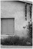 Ristras hanging from roof with blue shutters. Taos, New Mexico, USA (black and white)