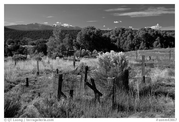 Woden crosses, cemetery, Picuris Pueblo. New Mexico, USA
