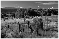 Woden crosses, cemetery, Picuris Pueblo. New Mexico, USA ( black and white)