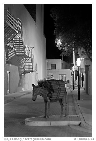 Street with sculpture by night. Santa Fe, New Mexico, USA (black and white)