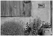 Flowers, mailbox, and weathered window. Santa Fe, New Mexico, USA (black and white)