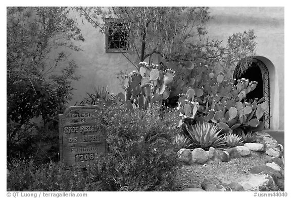 Desert plants and inscription, Church San Felipe de Neri. Albuquerque, New Mexico, USA (black and white)