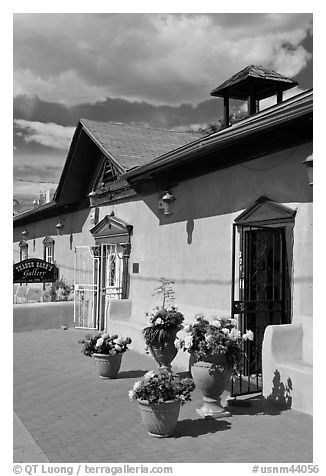 Potted flowers and gallery, old town. Albuquerque, New Mexico, USA (black and white)