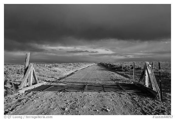 Cattle guard and unpaved road. New Mexico, USA (black and white)