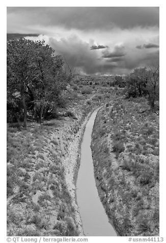Chaco wash in the spring. Chaco Culture National Historic Park, New Mexico, USA