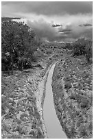 Chaco wash in the spring. Chaco Culture National Historic Park, New Mexico, USA (black and white)