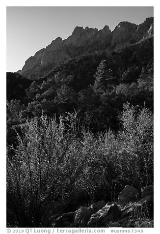 Forested slopes below Organ Needles. Organ Mountains Desert Peaks National Monument, New Mexico, USA (black and white)