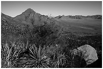 Baylor Peak rising above the desert. Organ Mountains Desert Peaks National Monument, New Mexico, USA ( black and white)