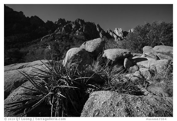 Sotol, Needles, and Organ Needles peaks. Organ Mountains Desert Peaks National Monument, New Mexico, USA (black and white)
