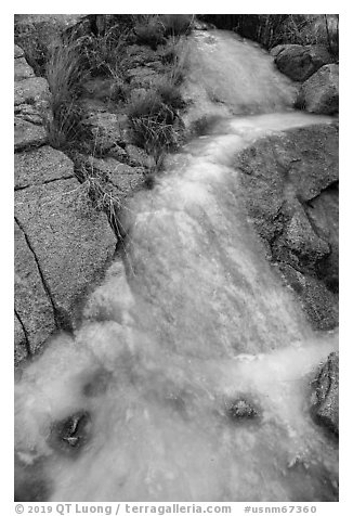 Frozen stream. Organ Mountains Desert Peaks National Monument, New Mexico, USA (black and white)