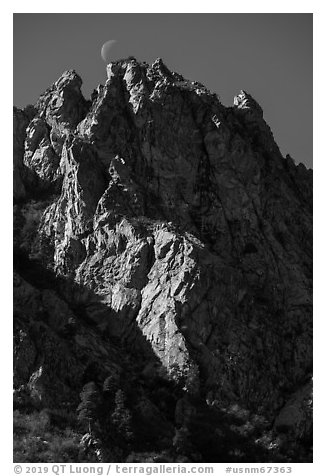 Needles and moon. Organ Mountains Desert Peaks National Monument, New Mexico, USA (black and white)