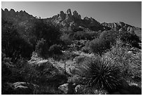 Aguirre Springs Desert plants and Rabbit Ears. Organ Mountains Desert Peaks National Monument, New Mexico, USA ( black and white)