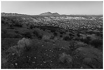 Kilbourne Hole maar volcanic crater, twilight. Organ Mountains Desert Peaks National Monument, New Mexico, USA ( black and white)