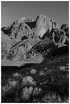 Organ Peak from Dripping Springs Natural Area. Organ Mountains Desert Peaks National Monument, New Mexico, USA ( black and white)