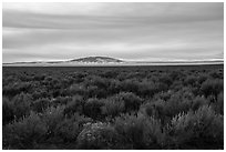 Taos Plateau and San Antonio Mountain in winter. Rio Grande Del Norte National Monument, New Mexico, USA ( black and white)