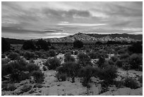 Sangre de Cristo Mountains from Wild Rivers Area, winter sunrise. Rio Grande Del Norte National Monument, New Mexico, USA ( black and white)