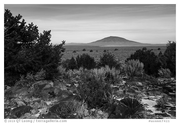 Sagebrush, desert plants, and Ute Mountain. Rio Grande Del Norte National Monument, New Mexico, USA (black and white)