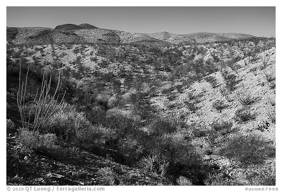 Robledo Mountains, Prehistoric Trackways National Monument. Organ Mountains Desert Peaks National Monument, New Mexico, USA (black and white)
