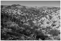 Robledo Mountains, Prehistoric Trackways National Monument. Organ Mountains Desert Peaks National Monument, New Mexico, USA ( black and white)