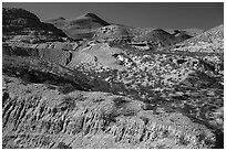 Robledo Mountains. Organ Mountains Desert Peaks National Monument, New Mexico, USA ( black and white)