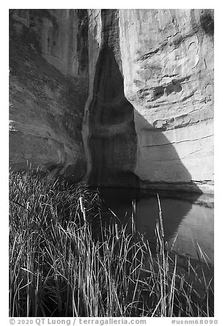 Pool at the base of cliff. El Morro National Monument, New Mexico, USA (black and white)