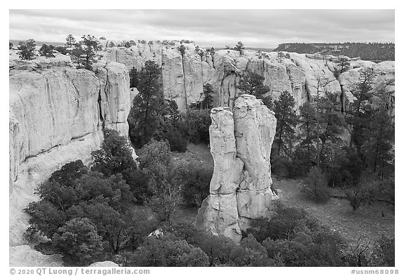 Monolith in box canyon. El Morro National Monument, New Mexico, USA (black and white)