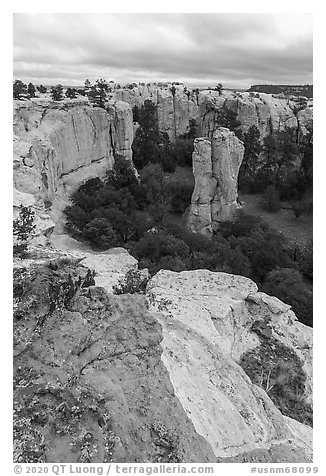 Box canyon from rim. El Morro National Monument, New Mexico, USA (black and white)