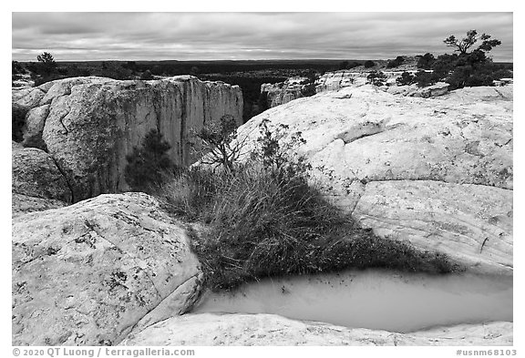Rainwater pool on top of sandstone cliffs. El Morro National Monument, New Mexico, USA (black and white)