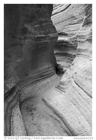 Slot canyon. Kasha-Katuwe Tent Rocks National Monument, New Mexico, USA (black and white)