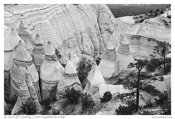 Tent rocks of conical shape in gorge. Kasha-Katuwe Tent Rocks National Monument, New Mexico, USA (black and white)