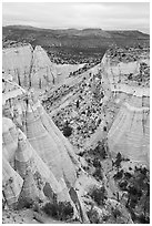 Tent rocks bordering Peralta Canyon. Kasha-Katuwe Tent Rocks National Monument, New Mexico, USA ( black and white)