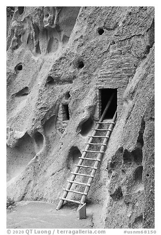 Ladder leading to cave dwelling. Bandelier National Monument, New Mexico, USA (black and white)