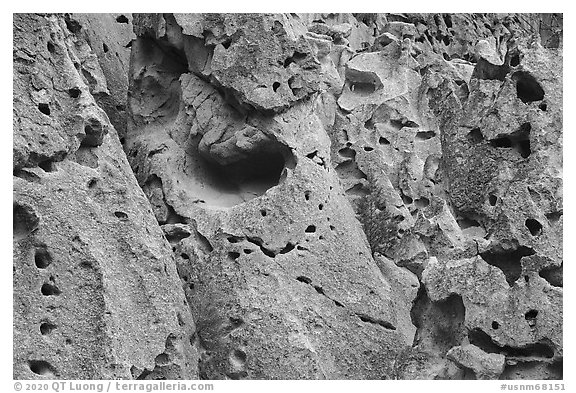Volcanic tuff cliff with multitude of caves. Bandelier National Monument, New Mexico, USA (black and white)