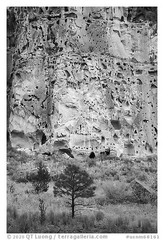 Cliff with cavates, Frijoles Canyon. Bandelier National Monument, New Mexico, USA (black and white)
