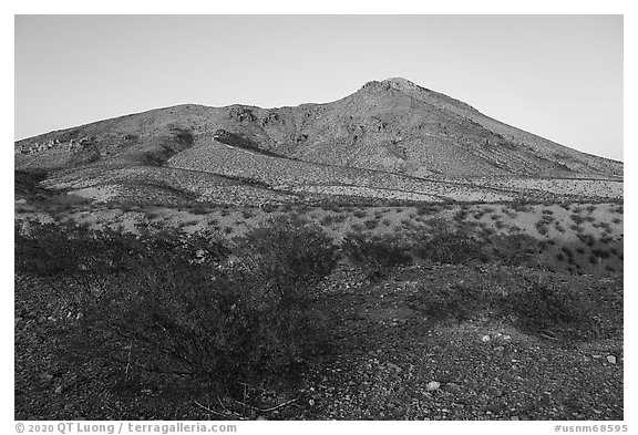 Shurbs and Picacho Mountain, late afternoon. Organ Mountains Desert Peaks National Monument, New Mexico, USA (black and white)