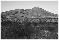 Shurbs and Picacho Mountain, late afternoon. Organ Mountains Desert Peaks National Monument, New Mexico, USA ( black and white)