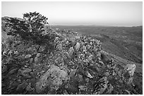 Picacho Mountain summit at dawn. Organ Mountains Desert Peaks National Monument, New Mexico, USA ( black and white)