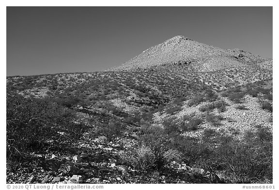 Picacho Mountain from Box Canyon. Organ Mountains Desert Peaks National Monument, New Mexico, USA (black and white)
