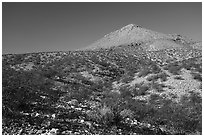 Picacho Mountain from Box Canyon. Organ Mountains Desert Peaks National Monument, New Mexico, USA ( black and white)