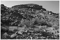 Slope with shrubs, Box Canyon. Organ Mountains Desert Peaks National Monument, New Mexico, USA ( black and white)